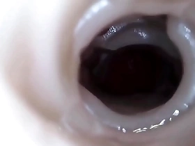 Cumshot Compilation with Toy Play